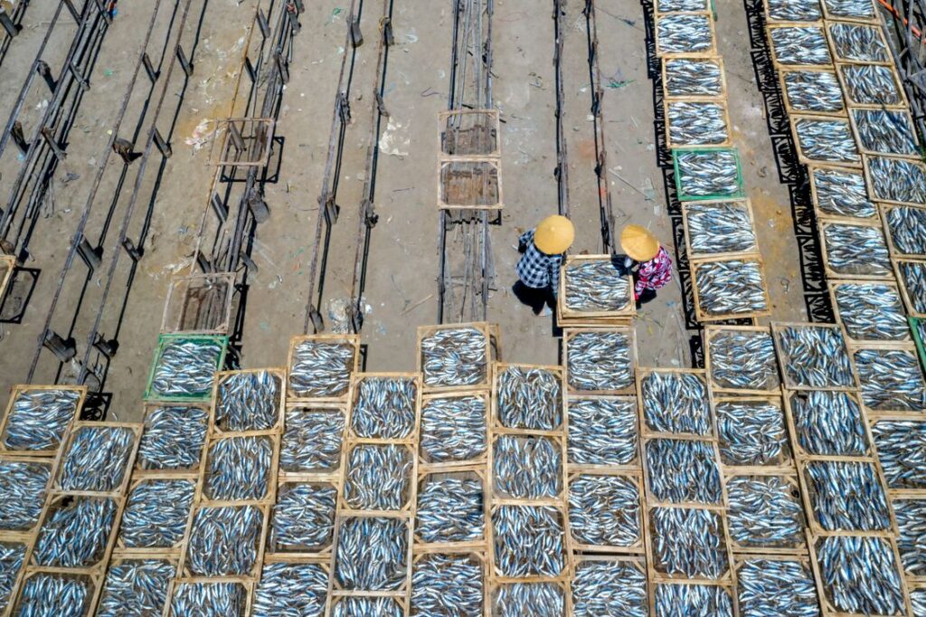 Thủy sản phơi trên giàn nhìn từ trên cao — ảnh stock minh họa