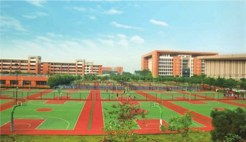 Sơn Silicon PU Stadium — Ảnh thi công thực tế